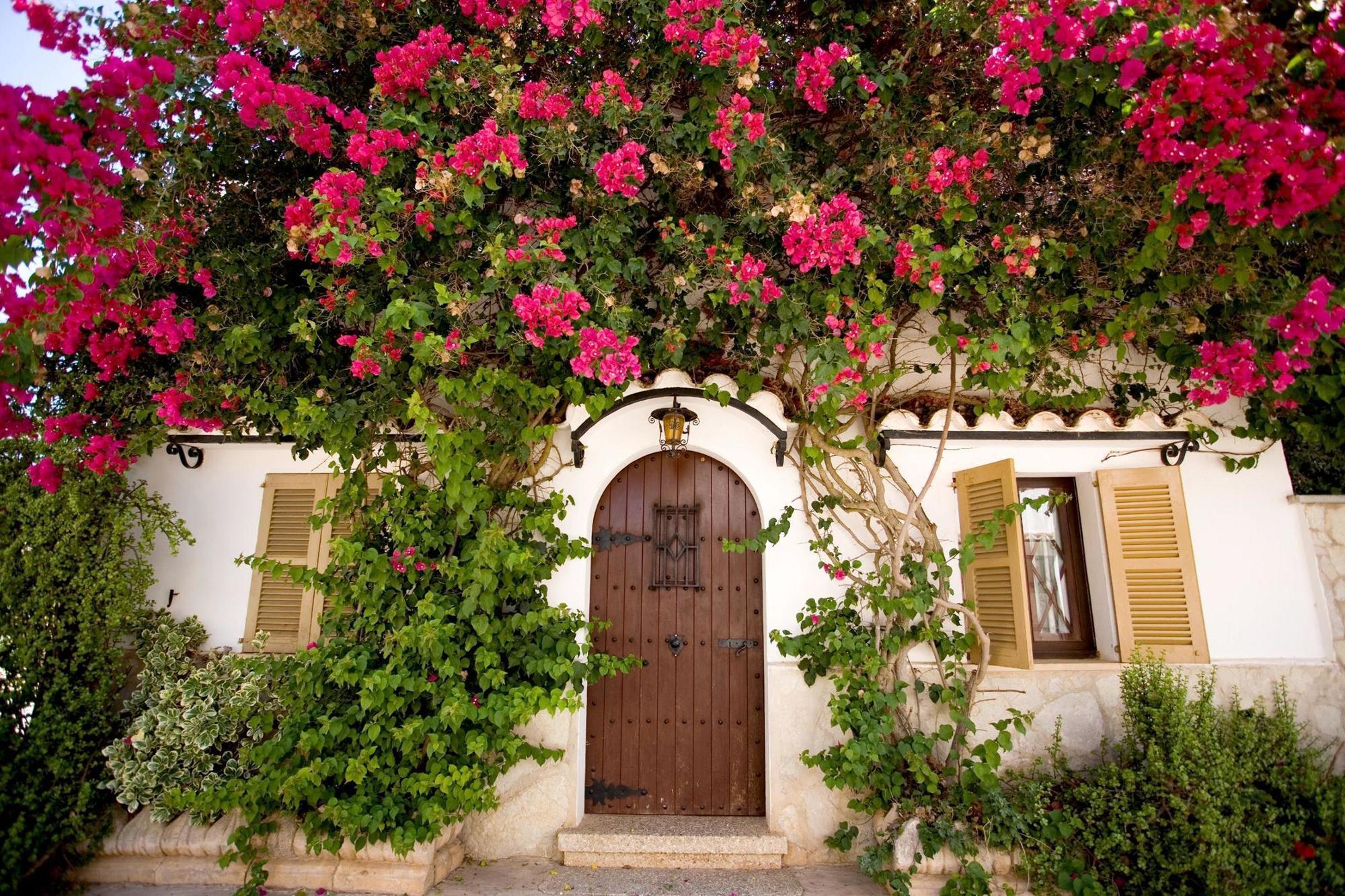 Sa Bassa Plana Guest House Cala Pi  Bagian luar foto